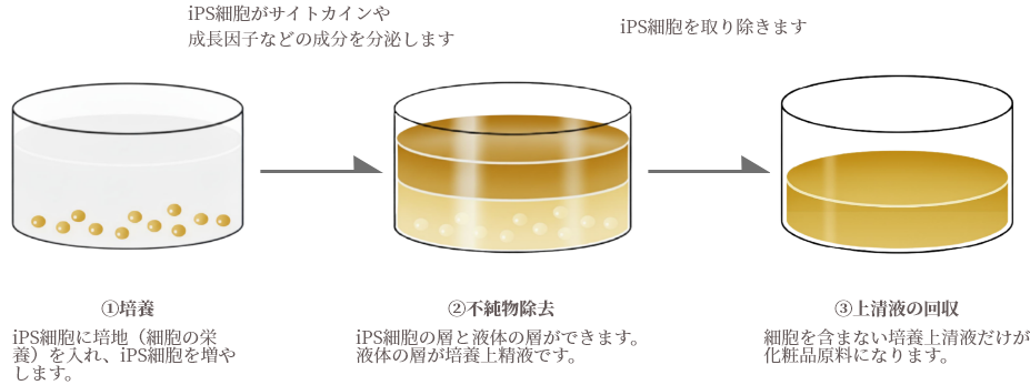 iPS細胞培養上清液の抽出過程図解